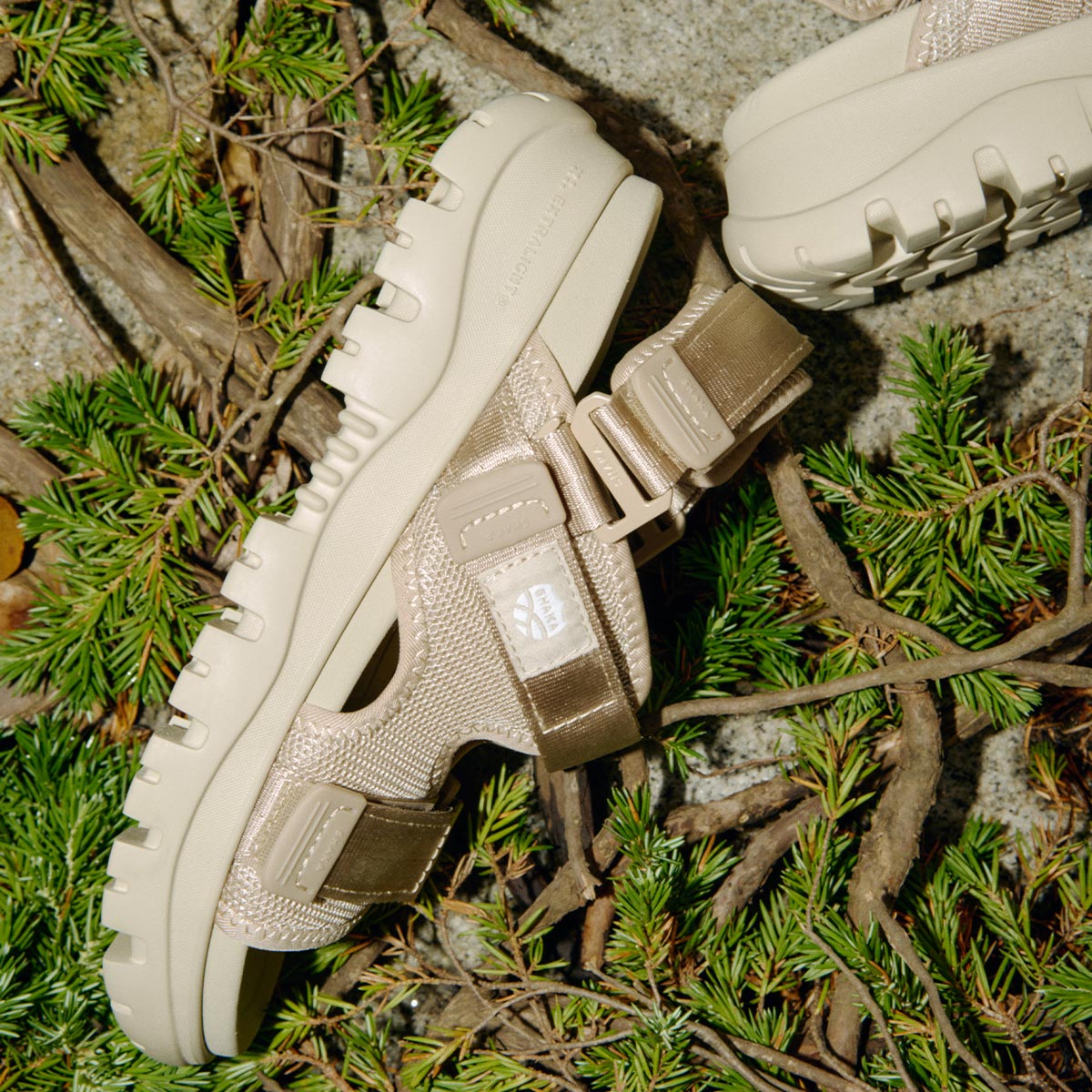 SHAKA スポーツサンダル CHILL OUT EX [メンズ/レディース][2026 春夏][SK-239]