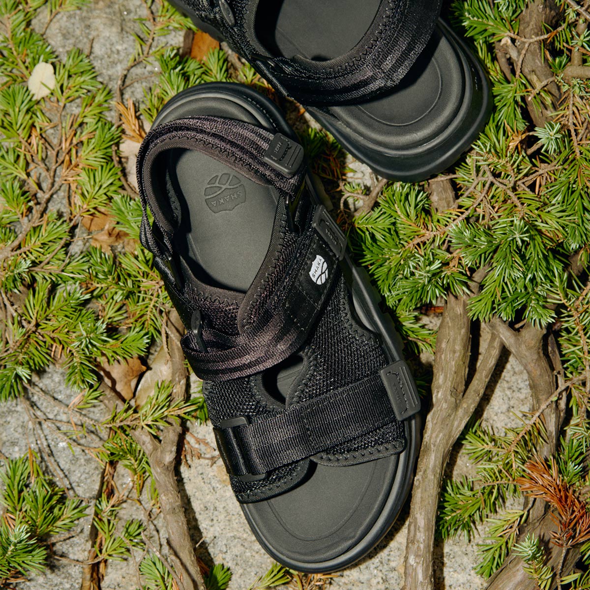 SHAKA スポーツサンダル CHILL OUT EX [メンズ/レディース][2026 春夏][SK-239]