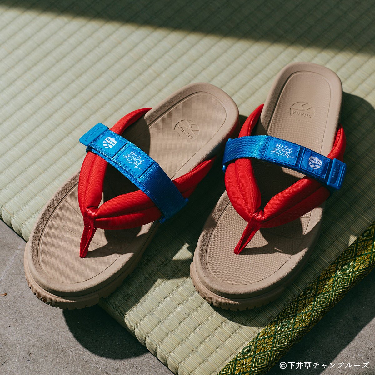 7月10日[コラボ] SHAKA 鼻緒サンダル CAMP BAY PARA BF for SAMURAI CHAMPLOO [メンズ/レディース][2026 春夏][SK-271V3SC] - SHAKA(シャカ)公式オンラインストア