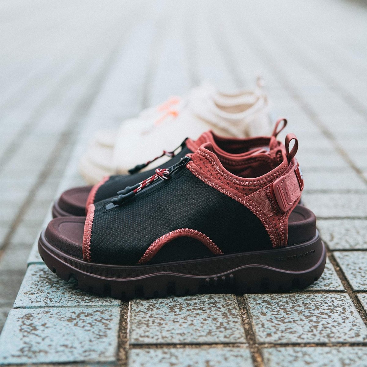 SHAKA スポーツサンダル COACHELLA EX [メンズ/レディース][2025 春夏] SK - 266V2 - SHAKA(シャカ)公式オンラインストア